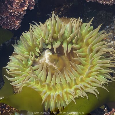 tidepools-01