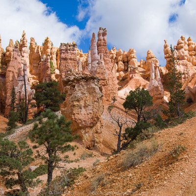 landscapes-6 Bryce Canyon